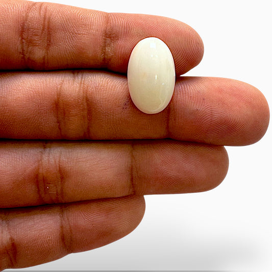 Natural White Coral Moonga Stone 15.77 Carats Oval Cabochon Shape 19x11.9mm