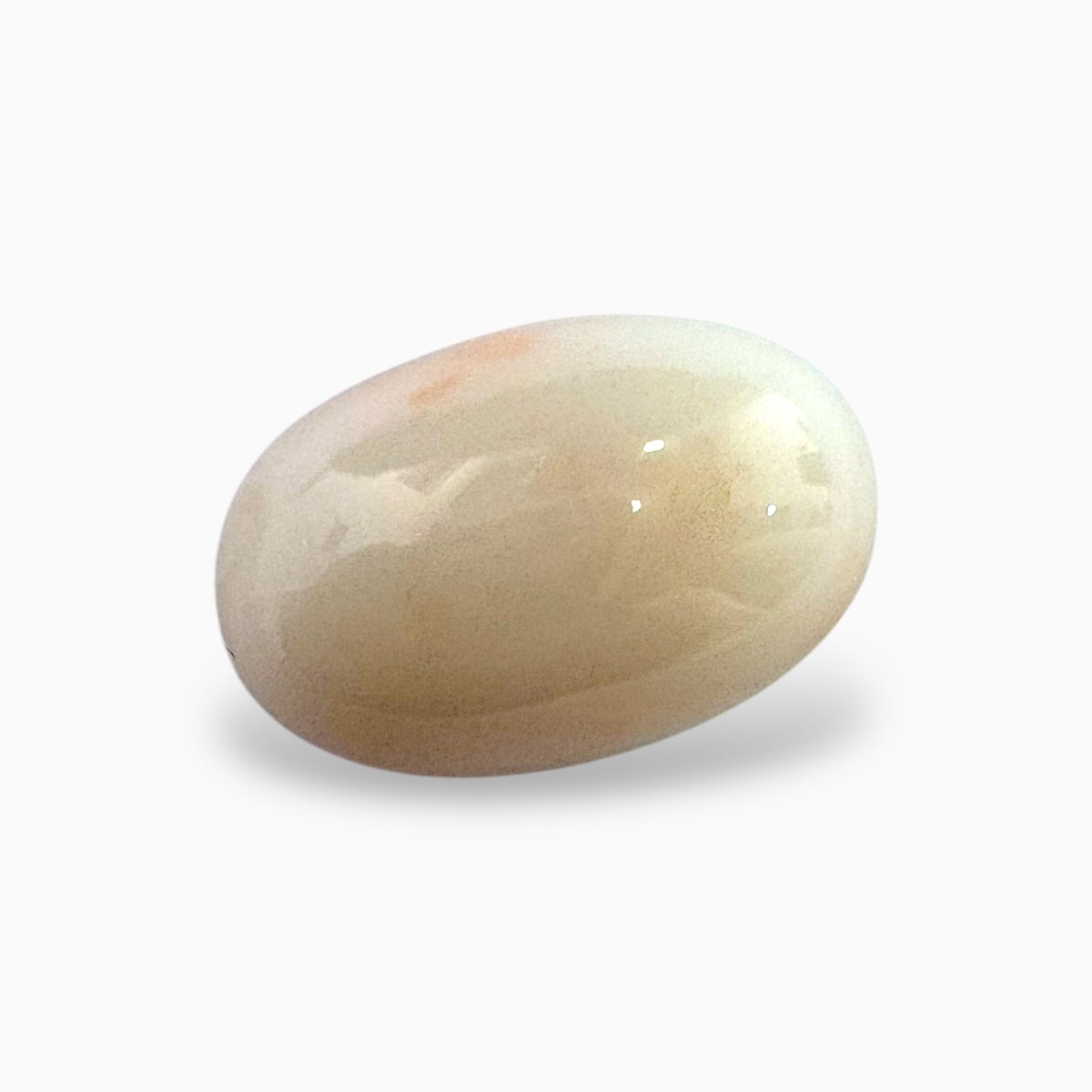 Natural White Coral Moonga Stone 21.76 Carats Oval Cabochon Shape 21x14mm