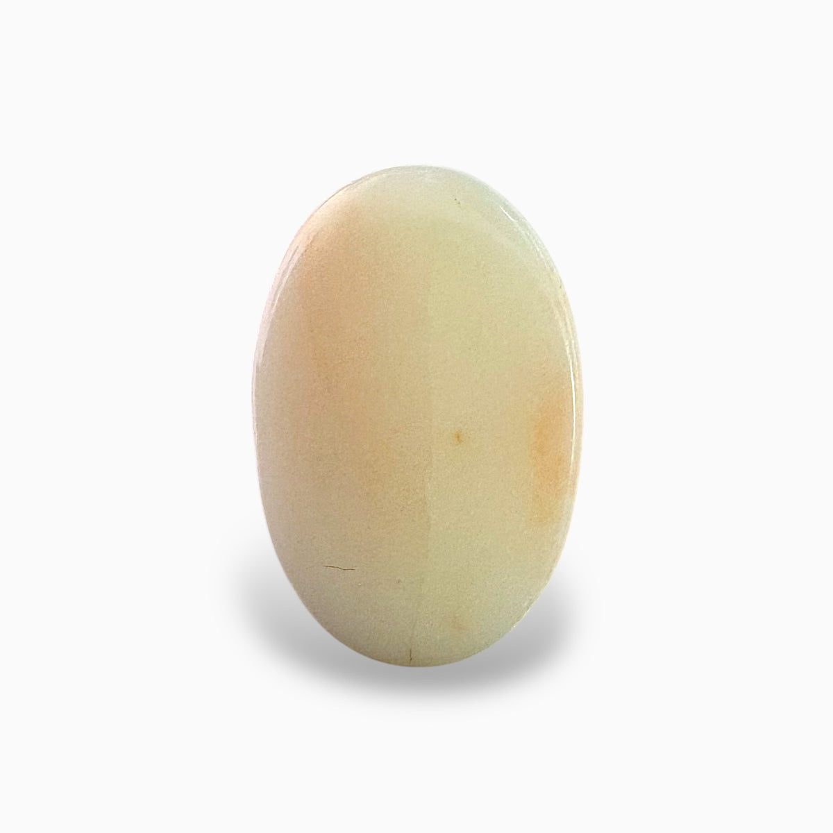 Natural White Coral Moonga Stone 21.76 Carats Oval Cabochon Shape 21x14mm