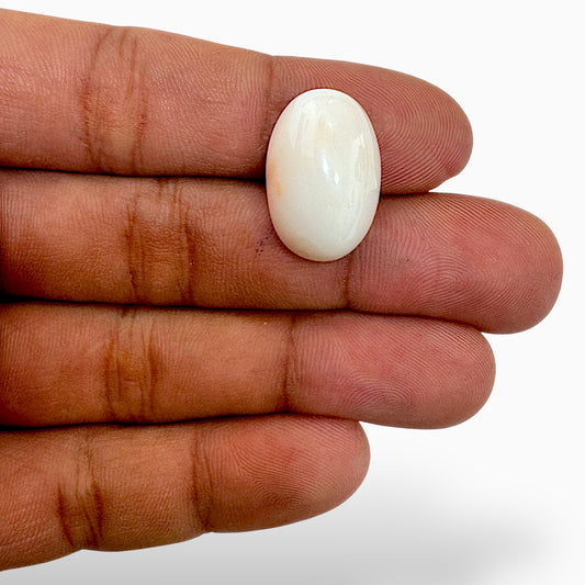 Natural White Coral Moonga Stone 21.76 Carats Oval Cabochon Shape 21x14mm