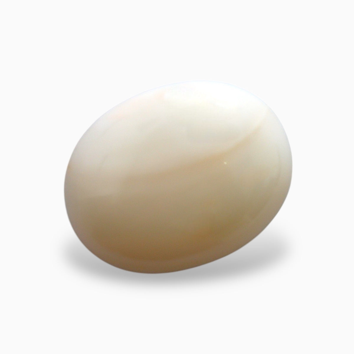 Natural White Coral Moonga Stone 12.57 Carats Oval Cabochon Shape 17.9x13.9mm
