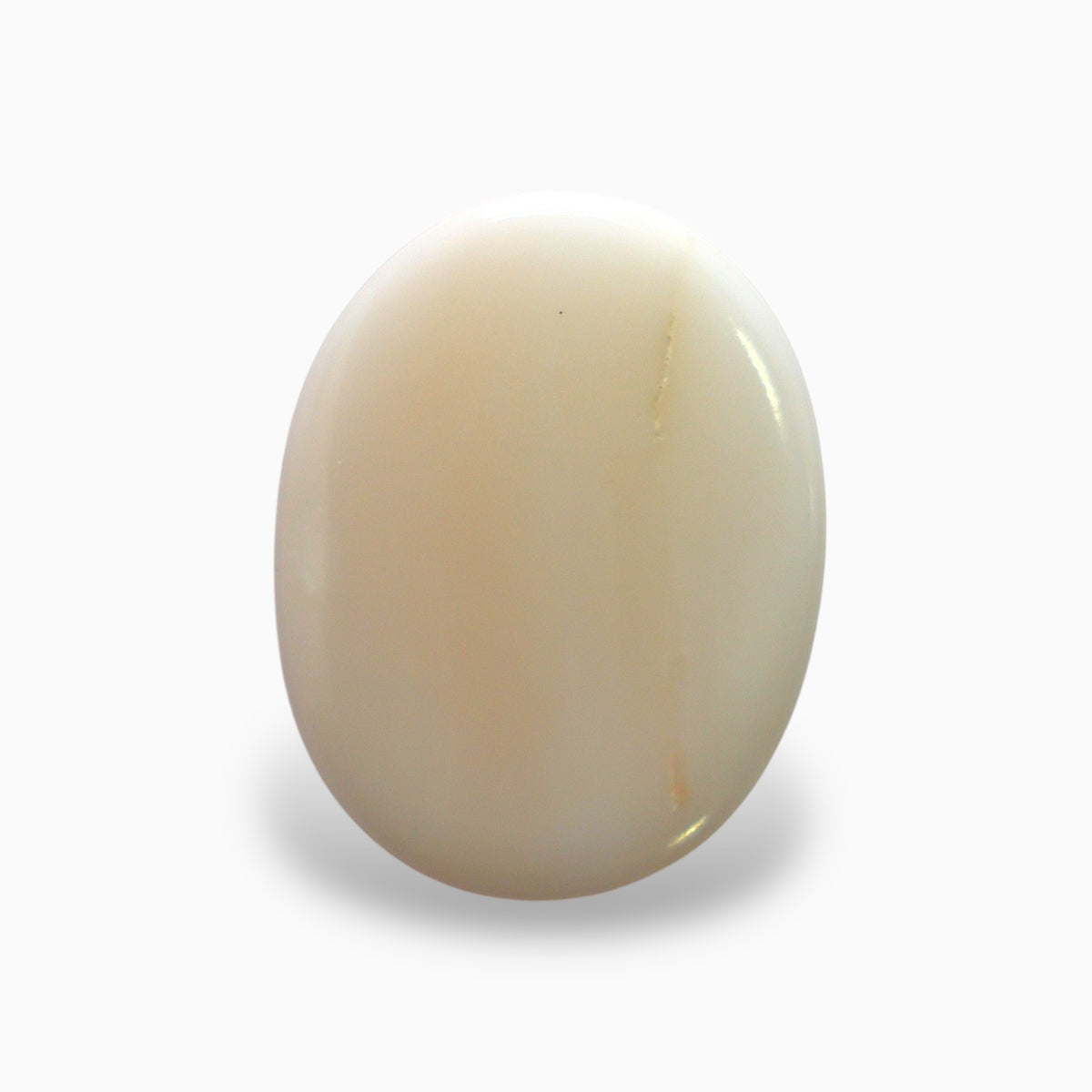 Natural White Coral Moonga Stone 12.57 Carats Oval Cabochon Shape 17.9x13.9mm