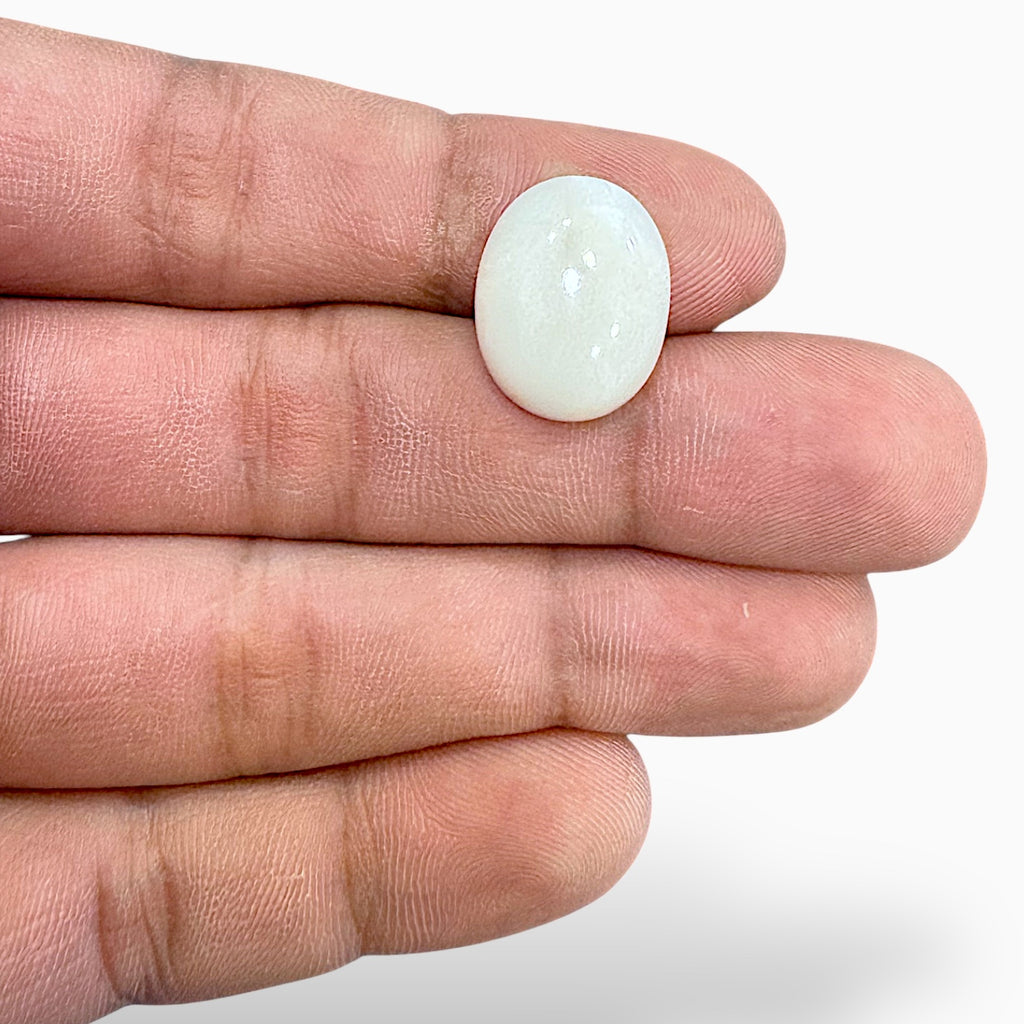Natural White Coral Moonga Stone 12.57 Carats Oval Cabochon Shape 17.9x13.9mm