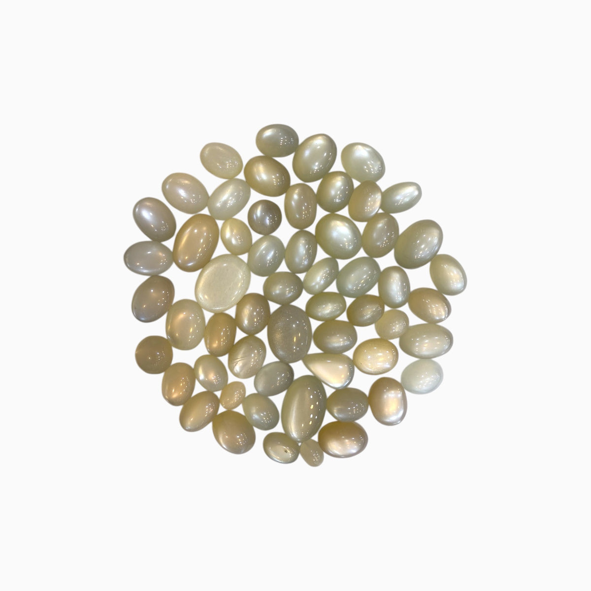 Milky Moonstone Oval Cabochon From 5 - 25 Carats Lot Price Per Carats