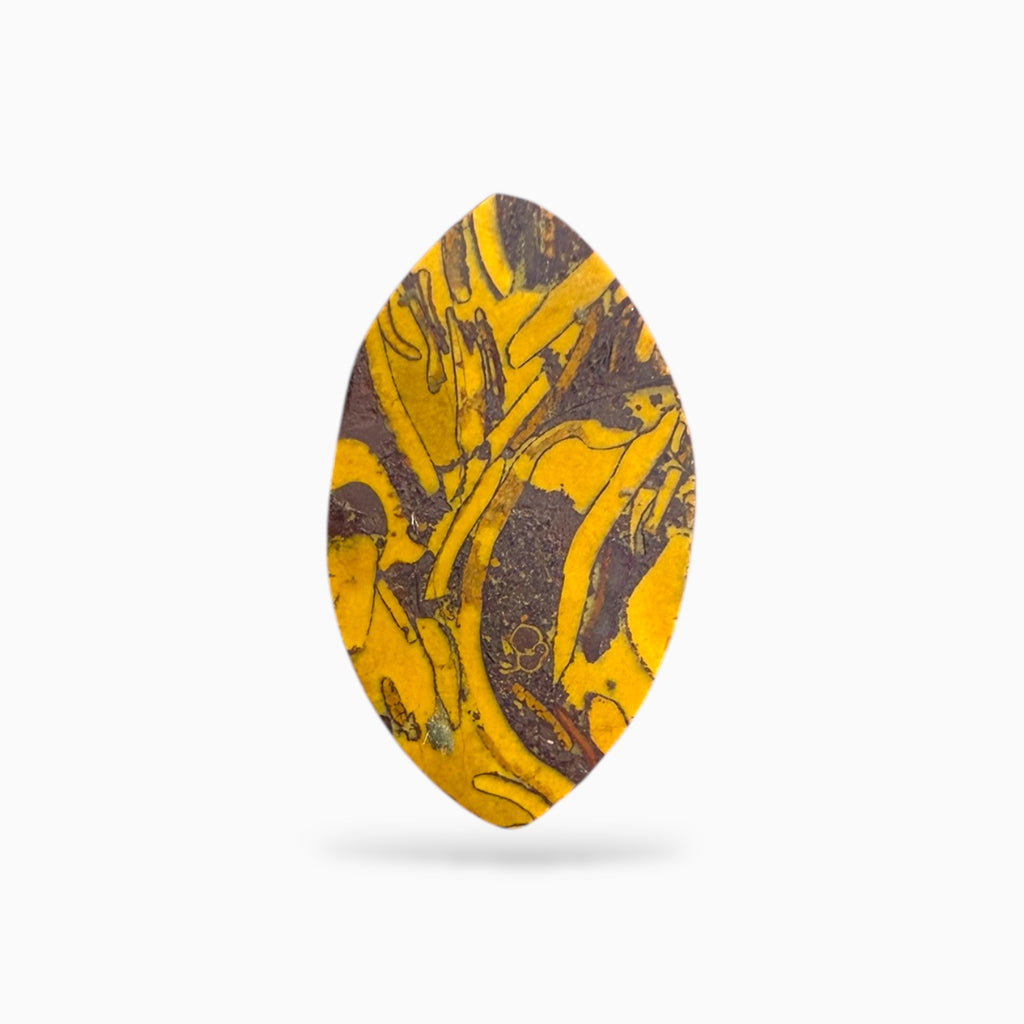 Miriam Stone (Calligraphy Stone) Marquise cabochon 5.63 Carats 15x9 mm