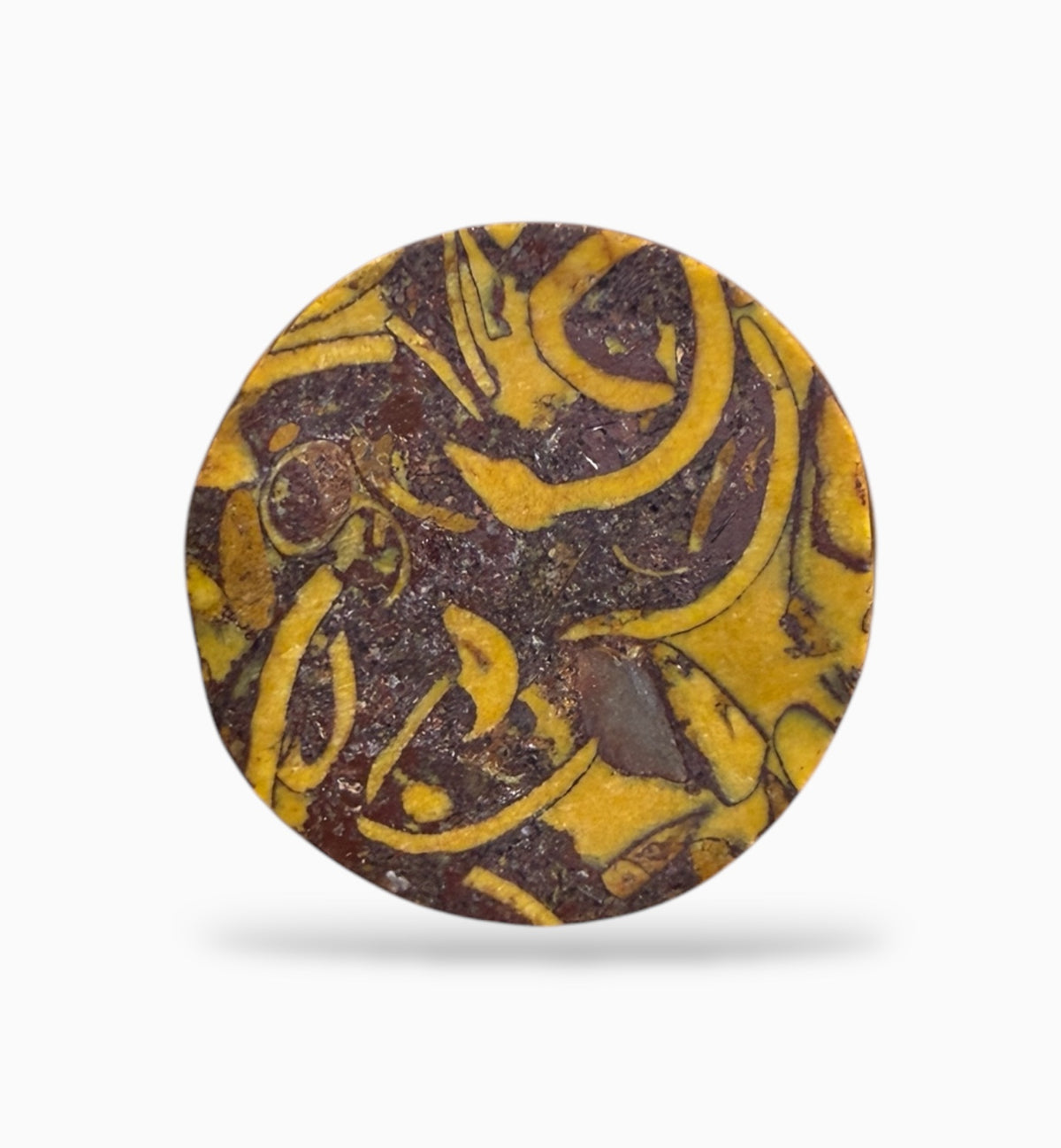 Miriam Stone (Calligraphy Stone) Round Cabochon 4.44 Carats 9.5 mm