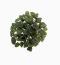 Moldavite Stones Rough / Raw From 1 - 10 Carats Lot
