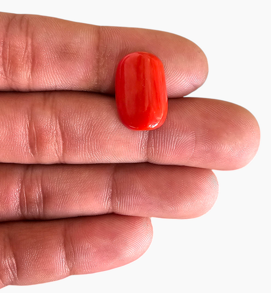 Moonga 9.08 Ratti Natural Red Coral Oval Cabochon 8.28 Carats 18.3x12 mm