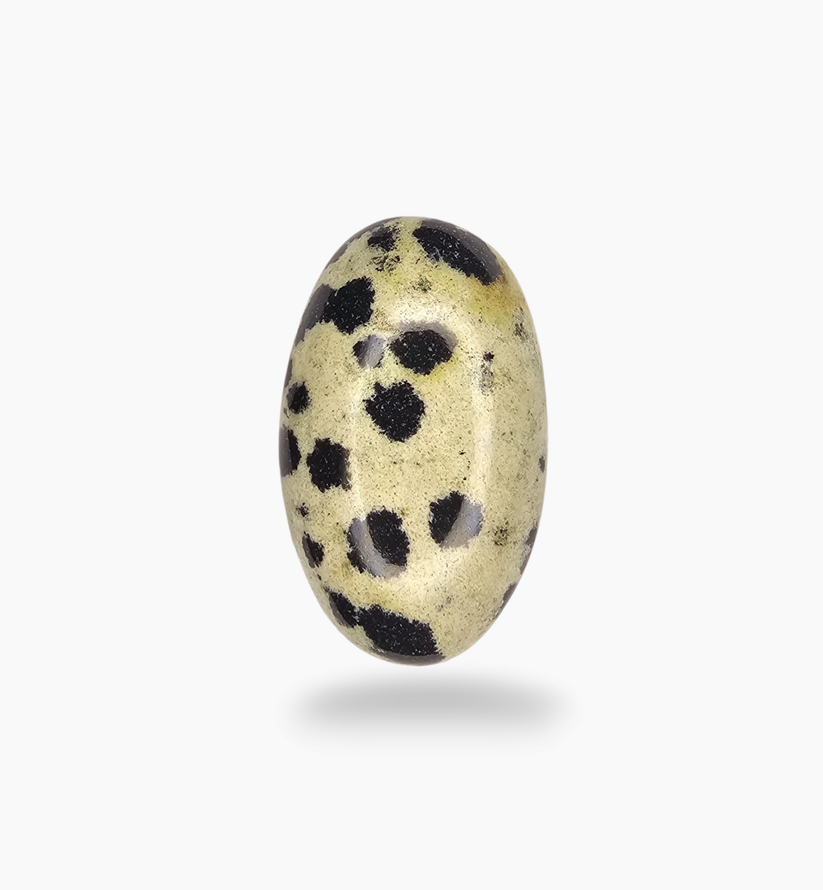 Natural Dalmatian Jasper Stone 18.58 Carats Oval Cabochon Shape ( 21.5x14.8 mm )