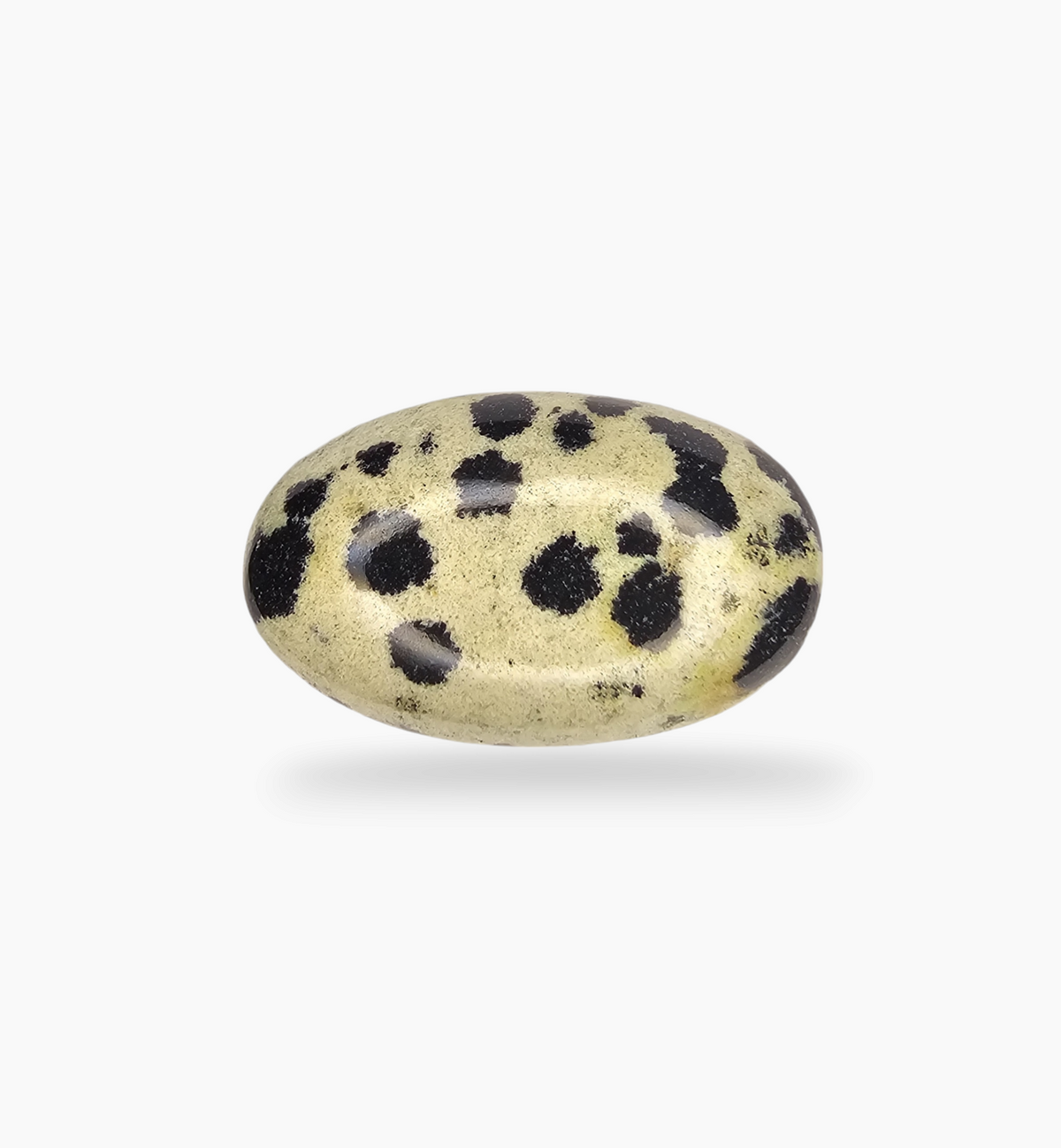 Natural Dalmatian Jasper Stone 18.58 Carats Oval Cabochon Shape ( 21.5x14.8 mm )
