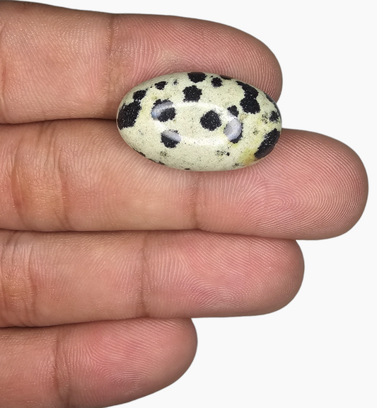 Natural Dalmatian Jasper Stone 18.58 Carats Oval Cabochon Shape ( 21.5x14.8 mm )