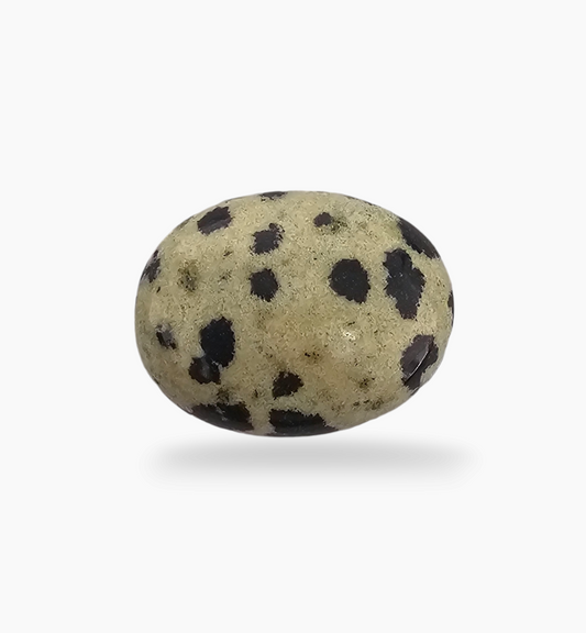 Natural Dalmatian Jasper Stone 20.7 Carats Oval Cabochon Shape ( 20.8x17mm )