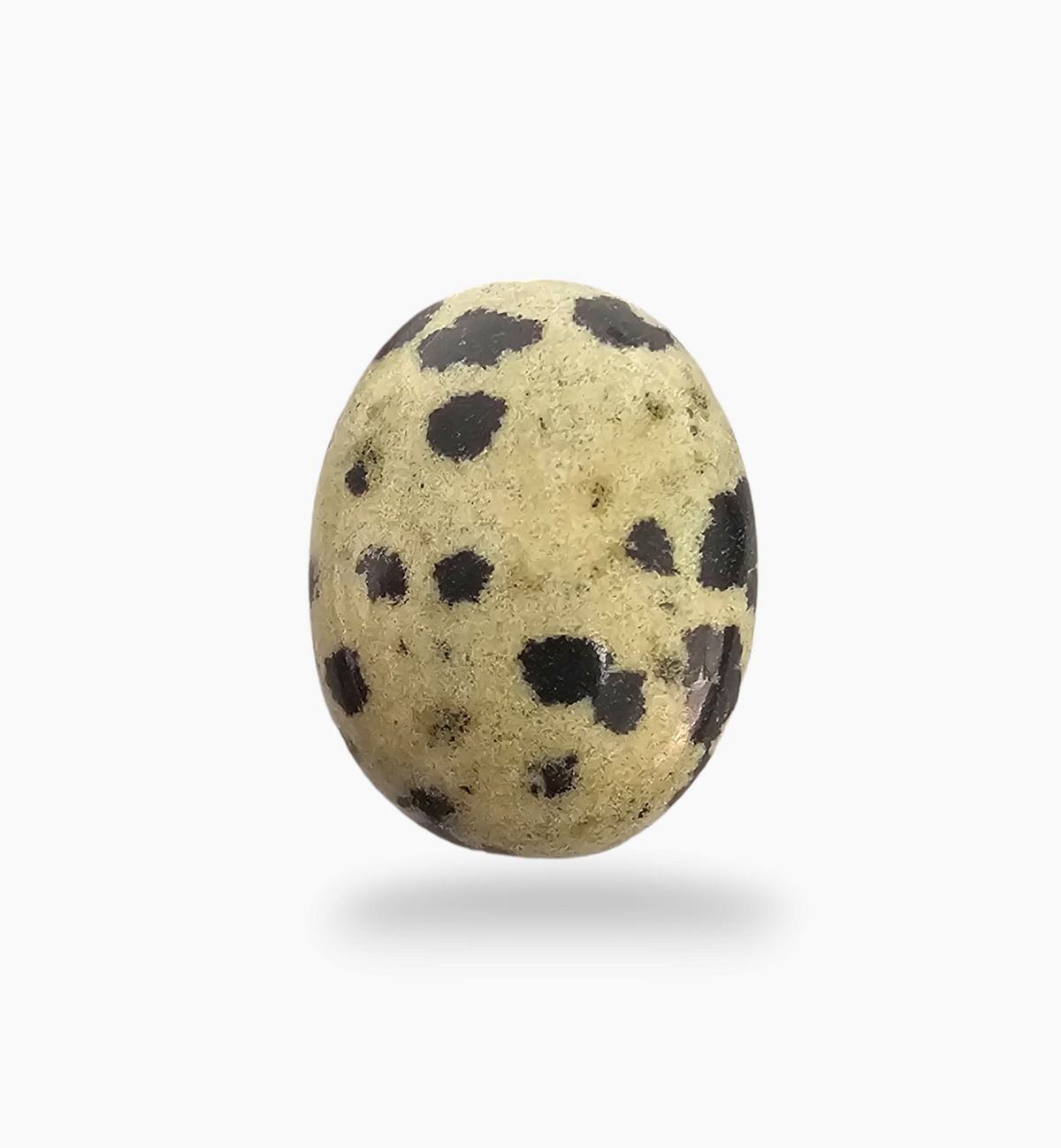 Natural Dalmatian Jasper Stone 20.7 Carats Oval Cabochon Shape ( 20.8x17mm )