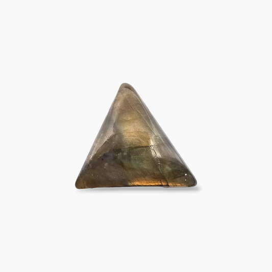 Natural Labradorite 23.8 Carats Trilliant Cabochon Shape ( 22 mm )