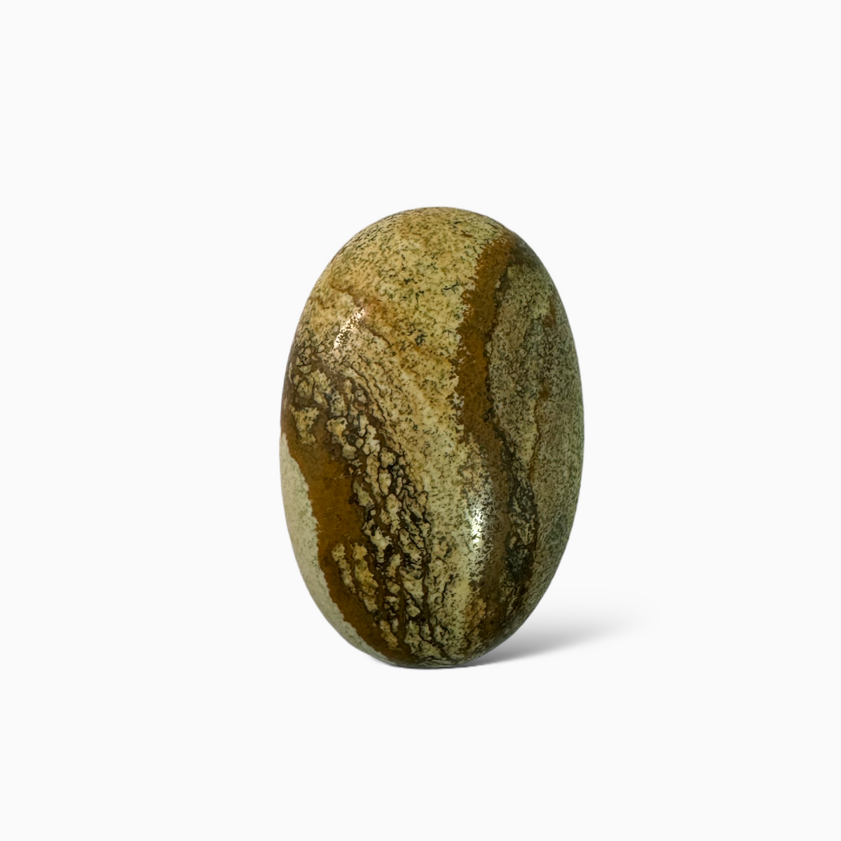 Natural Picture Jasper Stone 201.54 Carats Oval Cabochon Shape (58x37x11.5mm )
