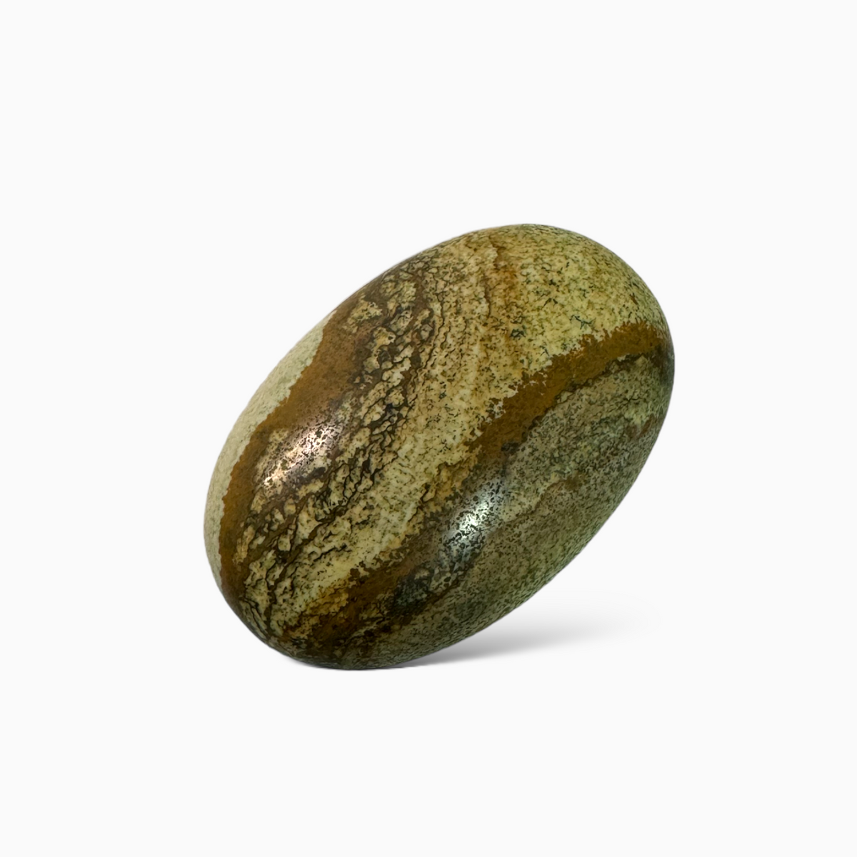 Natural Picture Jasper Stone 201.54 Carats Oval Cabochon Shape (58x37x11.5mm )