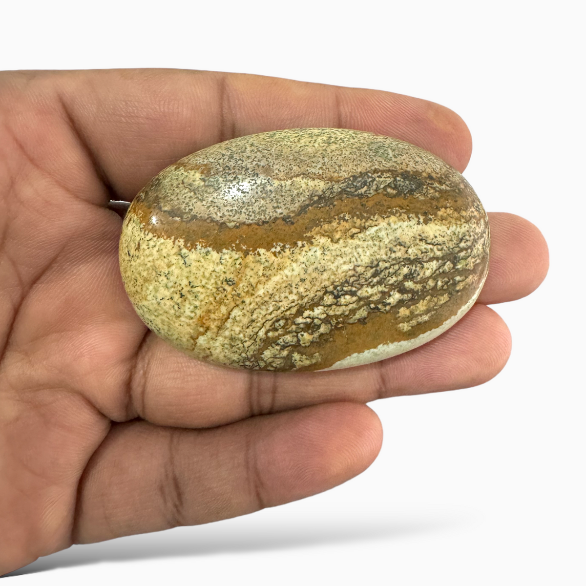 Natural Picture Jasper Stone 201.54 Carats Oval Cabochon Shape (58x37x11.5mm )
