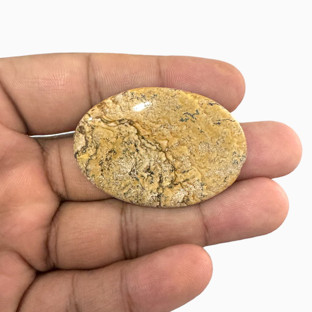 Natural Picture Jasper Stone 52.39 Carats Oval Cabochon Shape (40x30x5 mm )