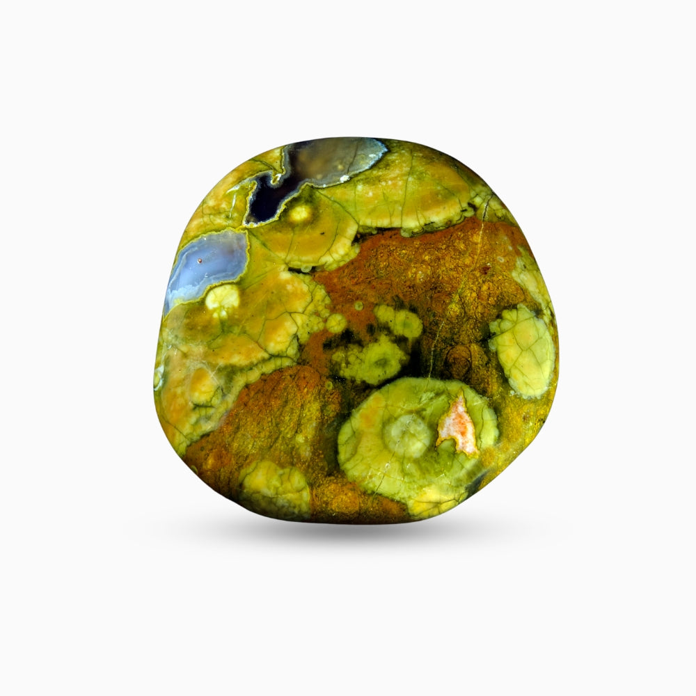 Natural Rainforest Jasper Stone in Rough Shape