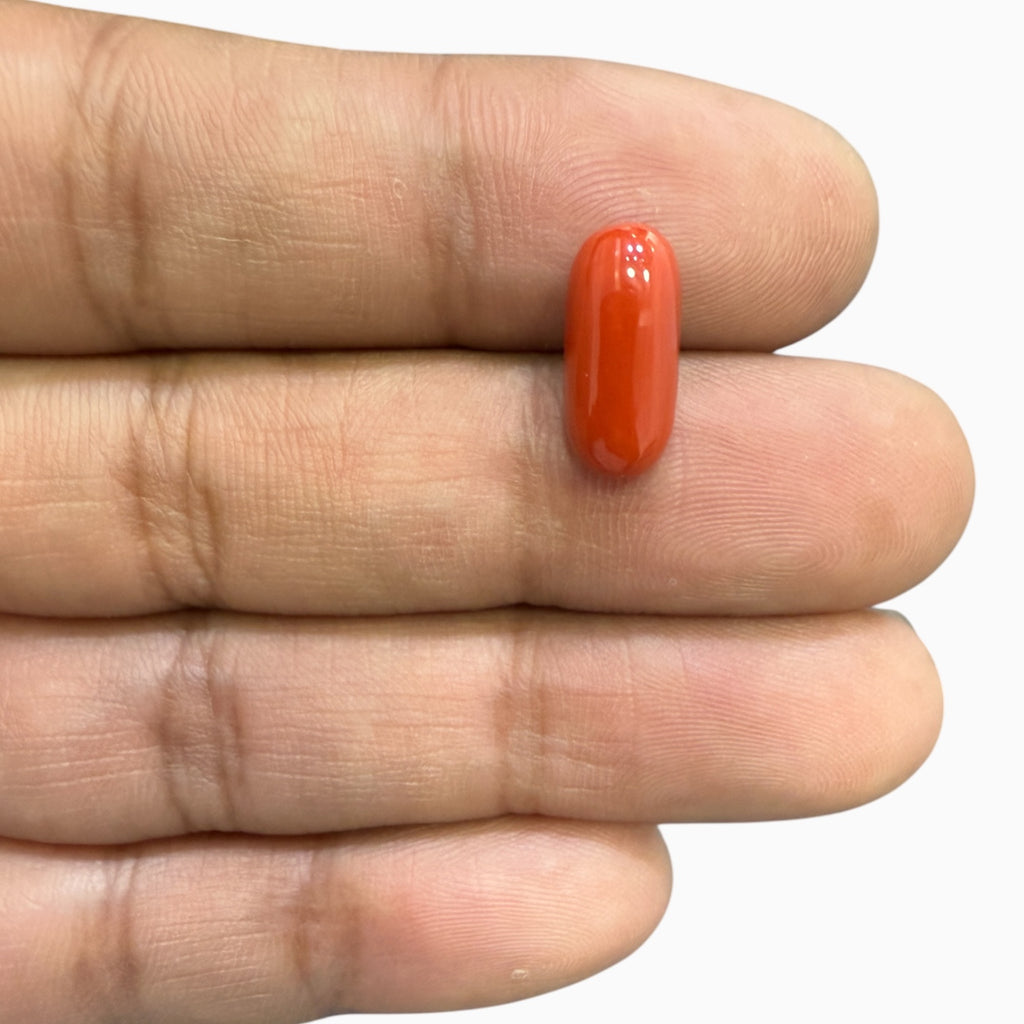 Natural Red Coral Capsule Shape Stone 4.78 Carats 14x6.3 mm