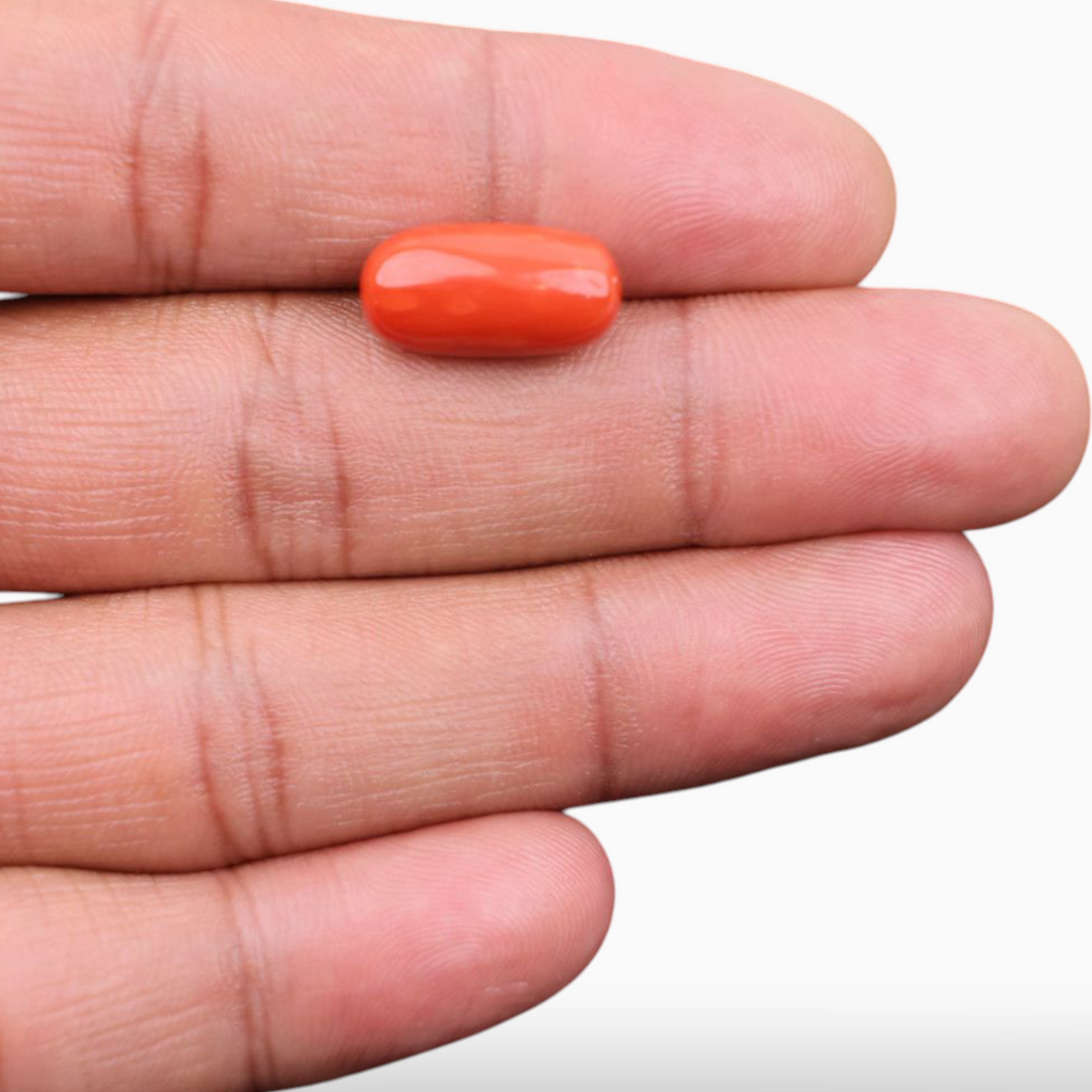 Natural Red Coral Stone For Sale 7.99 Carats Oval Cabochon Shape Size 16.5x8.4mm