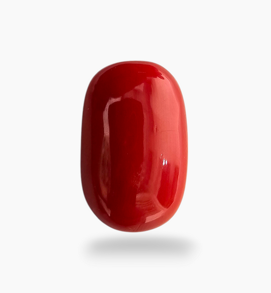 Natural Red Coral Oval Cabochon 10.94 Carats 19.2x12.1 mm