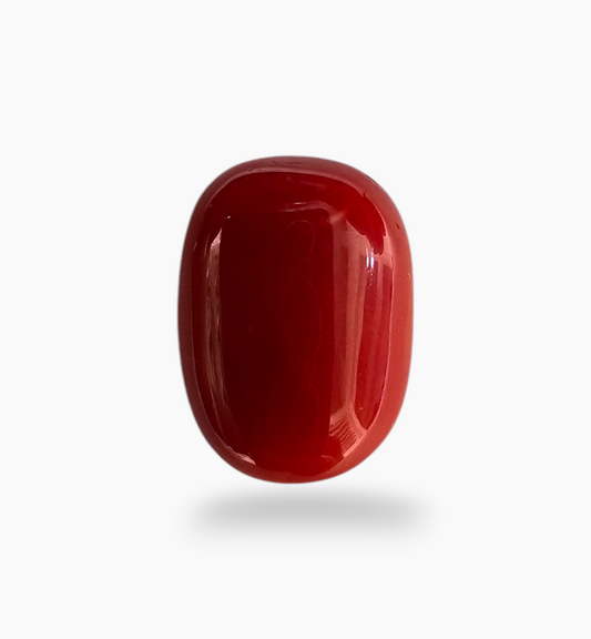 Natural Red Coral Oval Cabochon ( Moonga) 9.92 Carats 16.3 x 11.9 mm