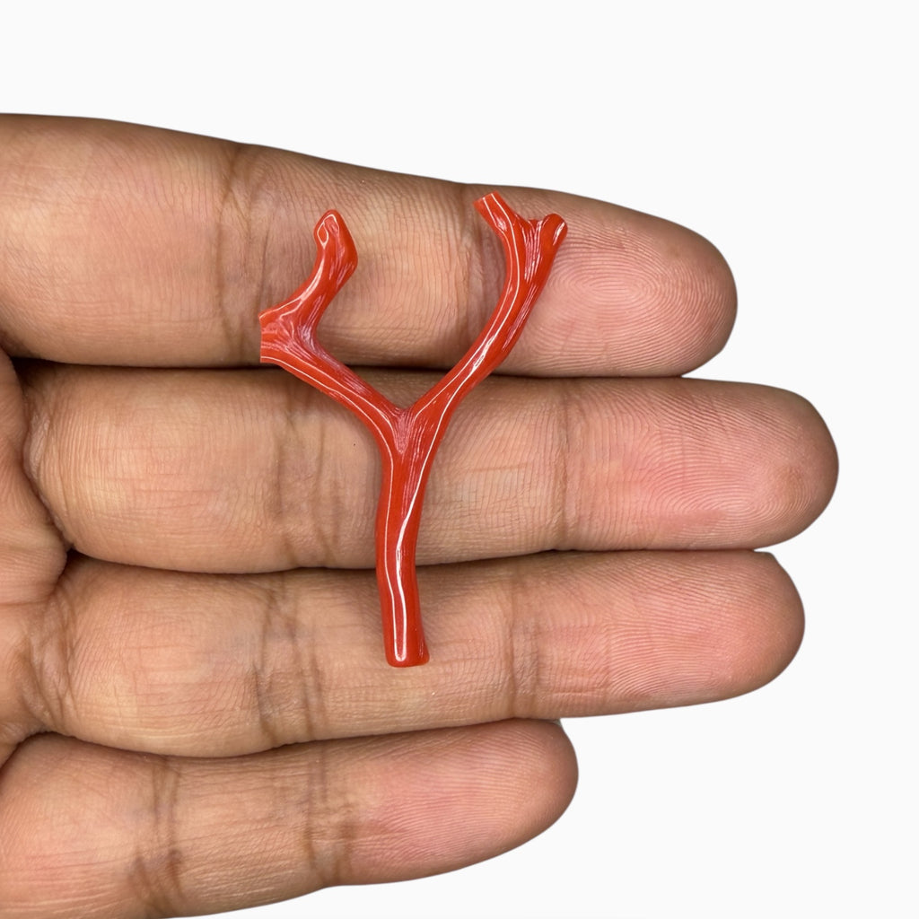 Natural Red Coral Rough With Polish 6.29 Carats