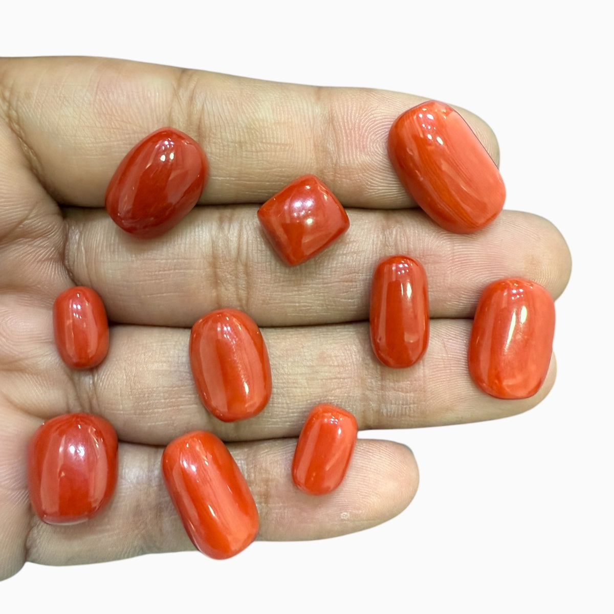 Natural Red Coral Stone Mix Shape Lot From 4 - 12 Carats