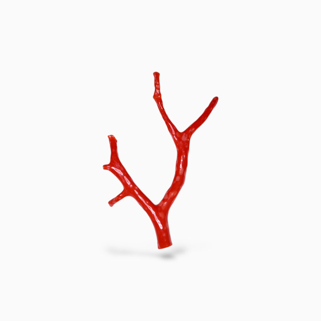 Natural Red Coral UnCut Raw With Polish 12.55 Carats
