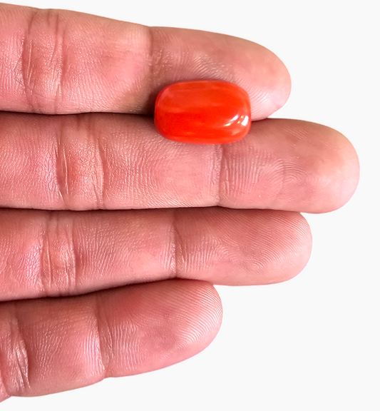 Natural Red Coral (Moonga) 9.26 Carats , 16.8 x 11.3mm