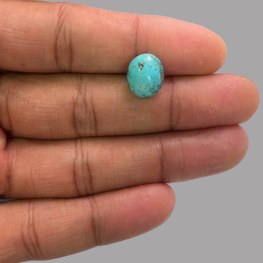 Natural Turquoise Stone 4.69 Carats 12 x 10.5 x 5.5 mm in Oval