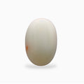 Natural White Coral Moonga Stone 11.29 Carats Oval Cabochon Shape 16.9x11.5mm
