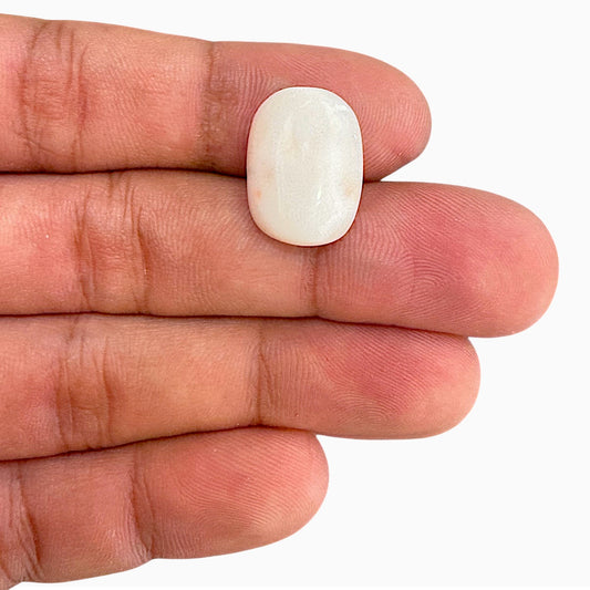 Natural White Coral Moonga Stone 14.47 Carats Oval Cabochon Shape 17.5x13mm