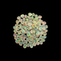 Natural White Ethiopian Opal Stone 24.72 Carats Oval Cabochon Shape 5 x 4 mm  