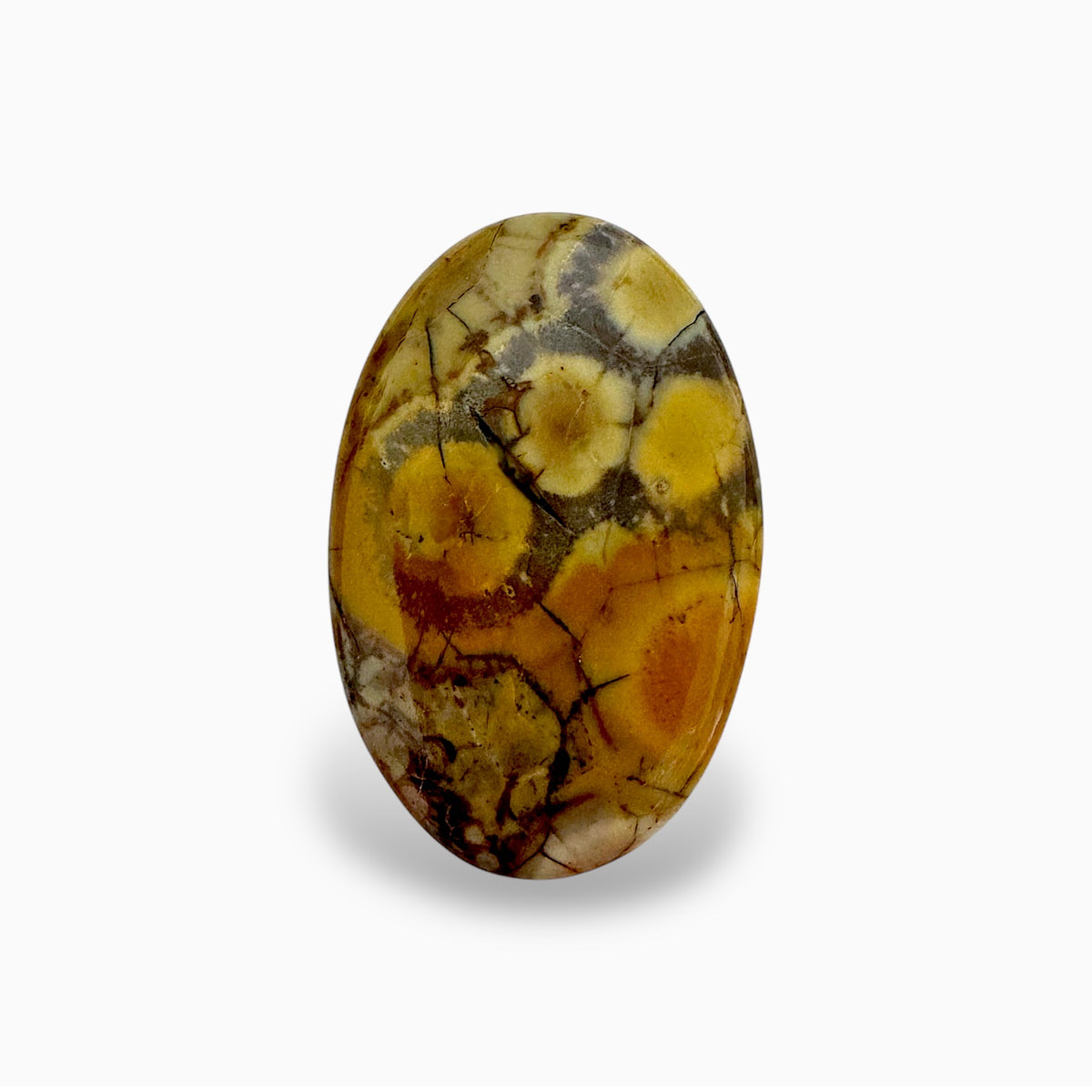 Natural Zebra Calcite Stone 48.88 Carats 52x37mm