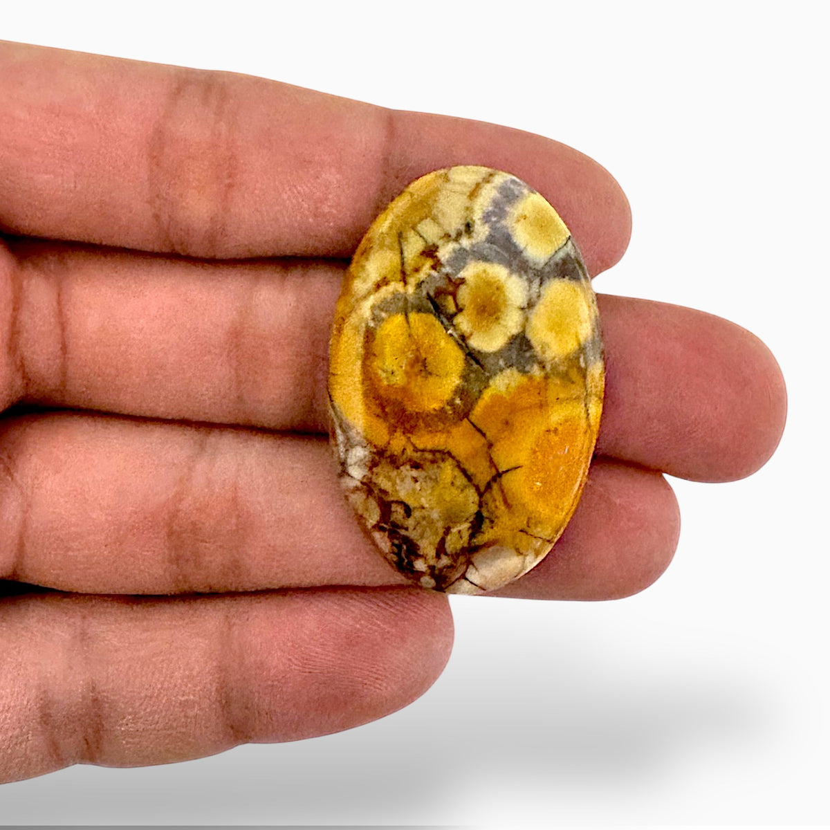 Natural Zebra Calcite Stone 48.88 Carats 52x37mm