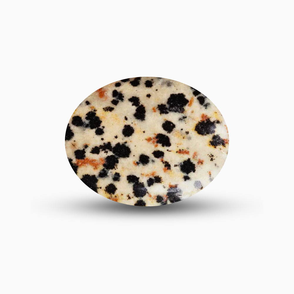 Dalmatian Jasper