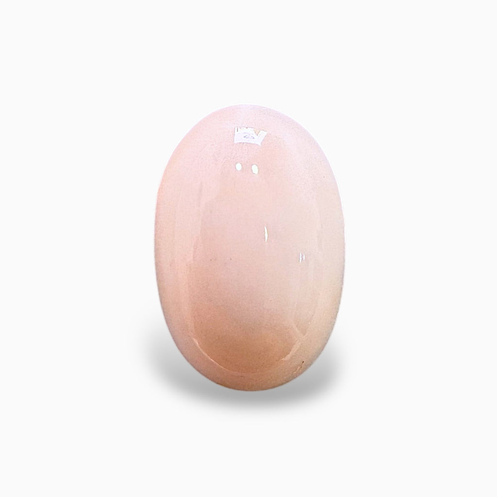 Natural Pink Coral Moonga Stone 13.39 Carats Oval Cabochon Shape 16.3x12.7mm