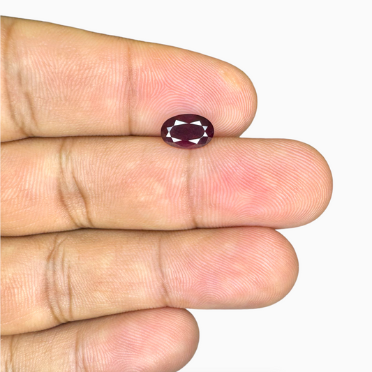 Natural Ruby Oval Cut Gem 1.51 Carat  from Mozambique