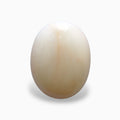 Natural White Coral Moonga Stone 12.57 Carats Oval Cabochon Shape 17.9x13.9mm