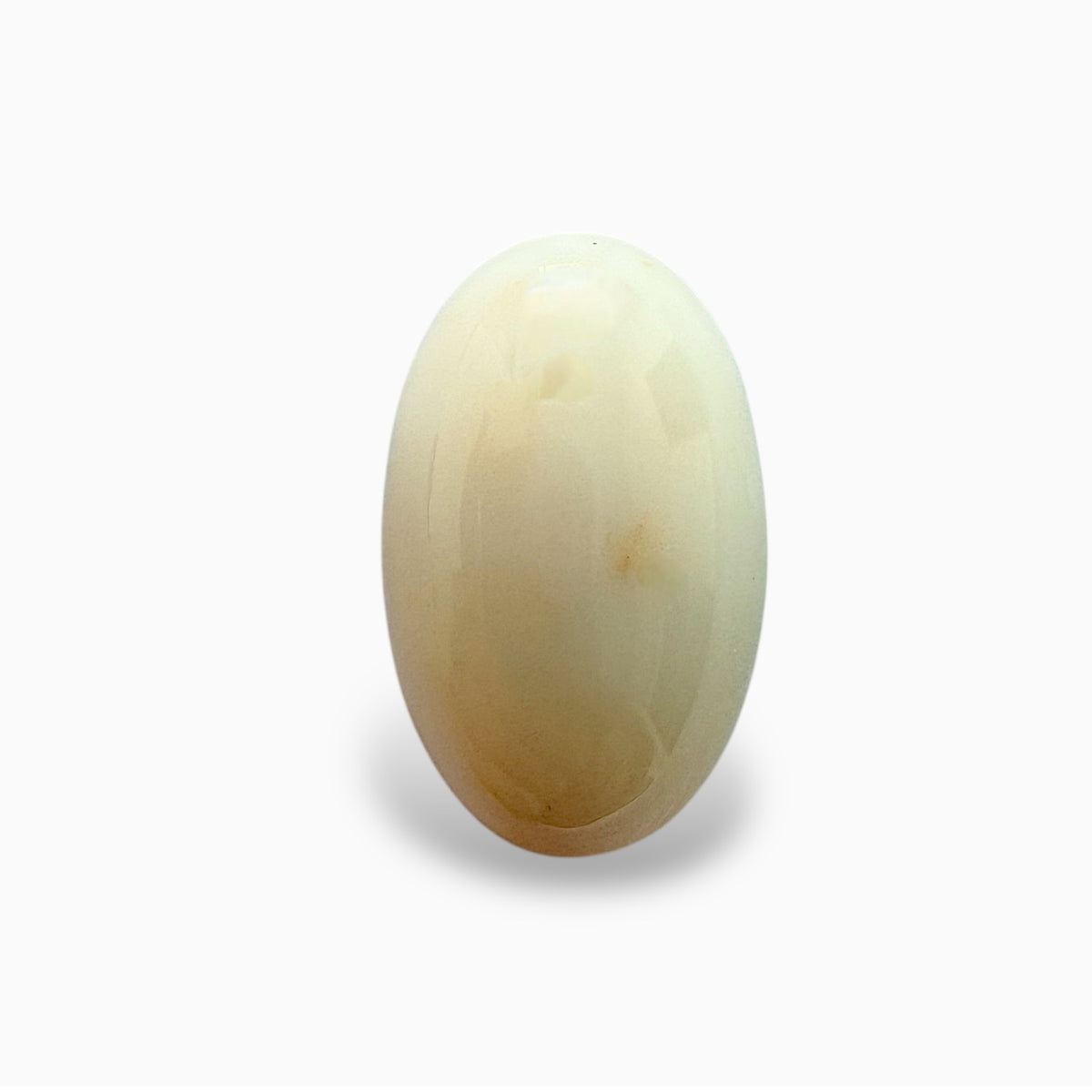 Natural White Coral Moonga Stone 15.77 Carats Oval Cabochon Shape 19x11.9mm