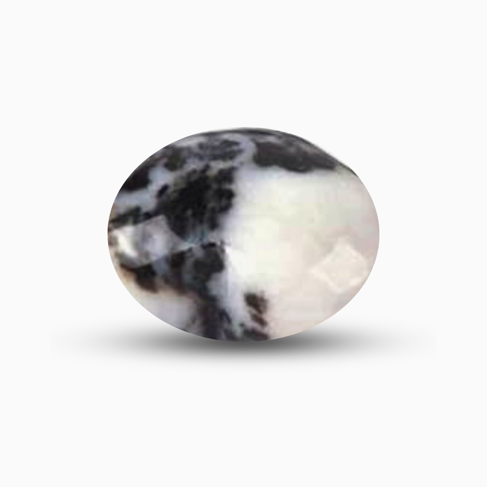 Zebra Jasper