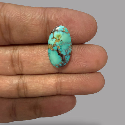 Nishapuri Feroza (Turquoise) Oval Cabochon 10.52 Carats  20.97 x 11.68 x 6.96 mm From Iran