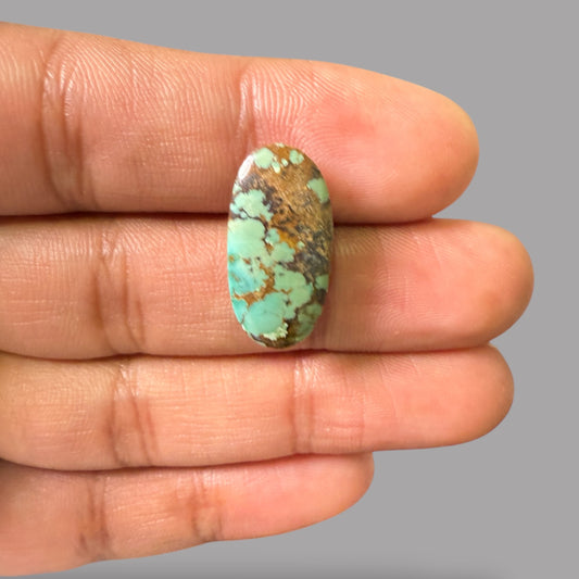 Nishapuri Feroza (Turquoise) Oval Cabochon 11.92 Carats  22.28 x 11.05 x 6.50 mm From Iran