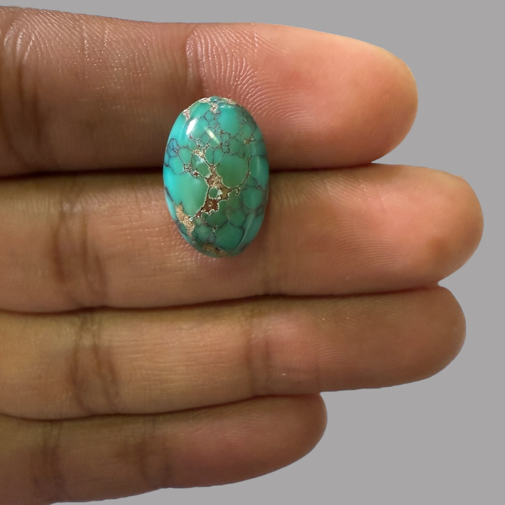 Nishapuri Feroza (Turquoise) Oval Cabochon 12.60 Carats  18.41 x 11.95 x 7.85 mm From Iran