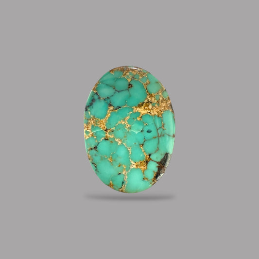 Nishapuri Feroza (Turquoise) Oval Cabochon 12.66 Carats  18.17 x 13.02 x 7.01 mm From Iran