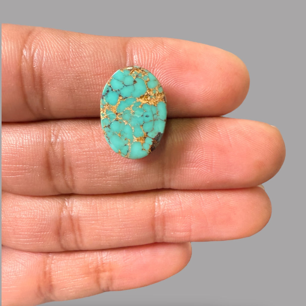 Nishapuri Feroza (Turquoise) Oval Cabochon 12.66 Carats  18.17 x 13.02 x 7.01 mm From Iran