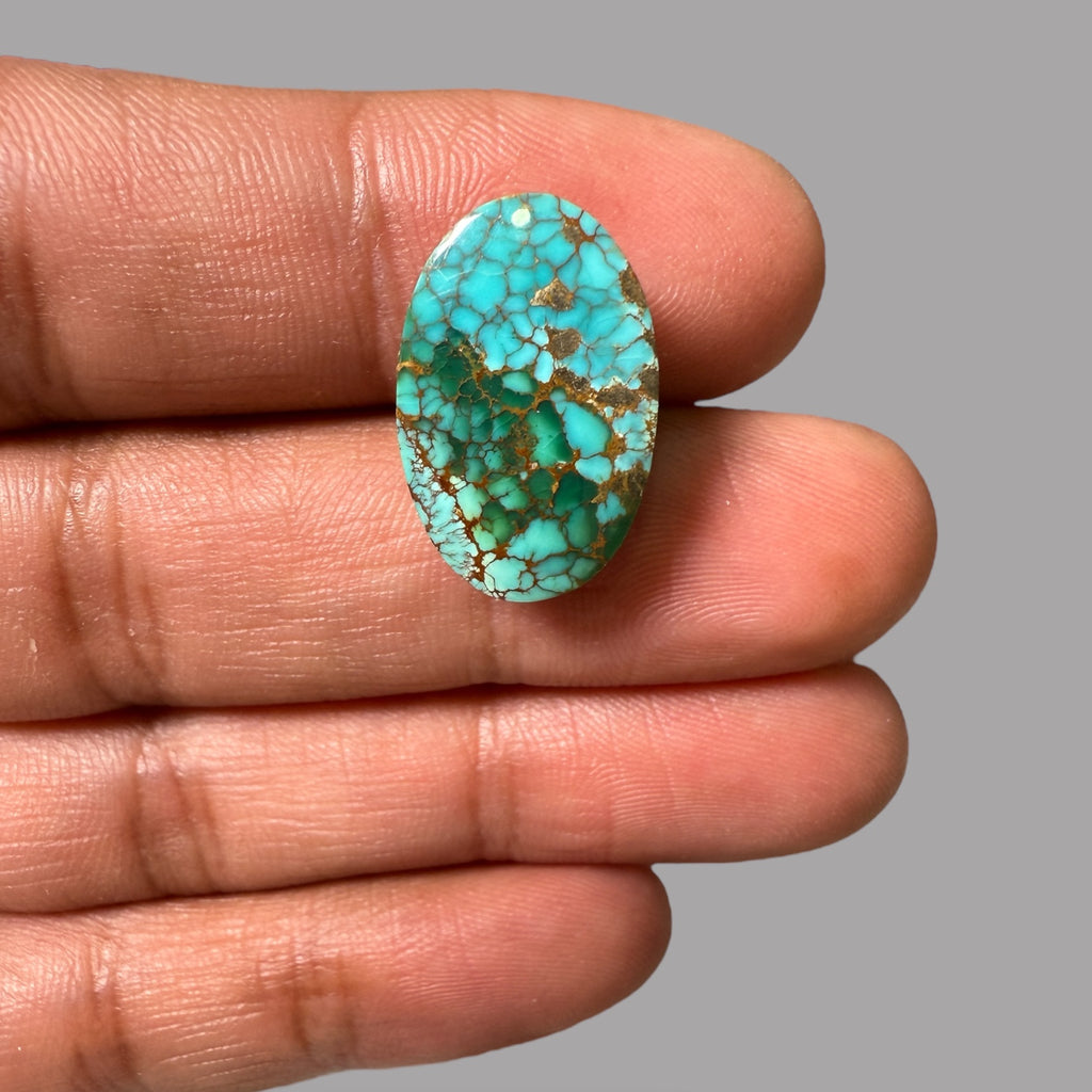Nishapuri Feroza (Turquoise) Oval Cabochon 13.32 Carats  20.58 x 13.54 x 6.79 mm From Iran