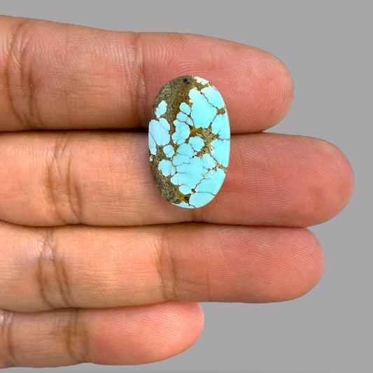 Buy Feroza Stone Oval Cabochon 13.59 Carats 20.50 x 13 x 8 mm From Iran